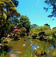pond