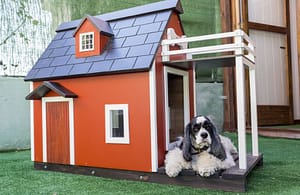 house size