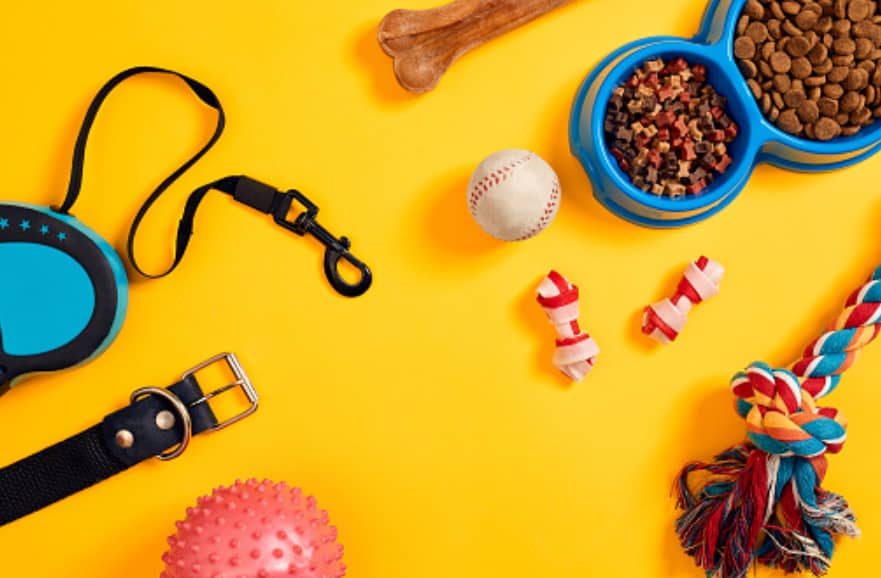 dog accessories
